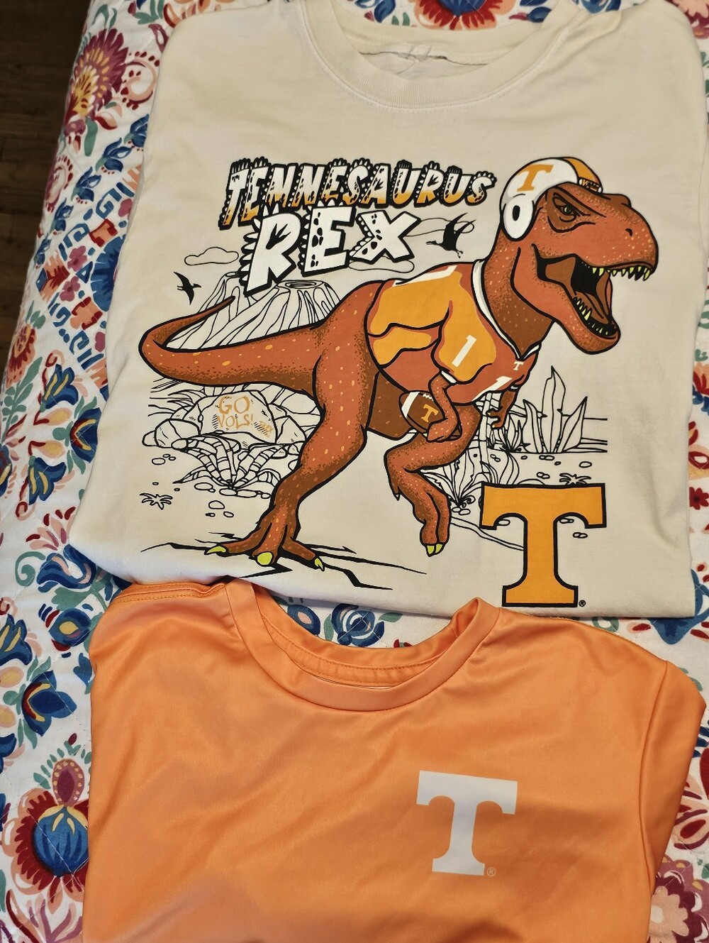 Lot of 2 Tn Vols Kids Shirts Columbia Youth L & Tennesaurus Rex Graphic Tee Euc